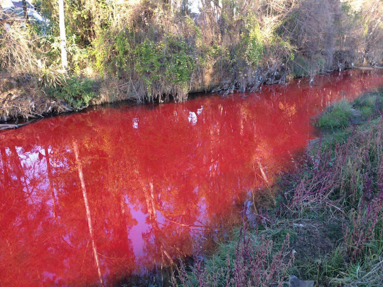 19402261_1749001185398233_6235921458263281534_o