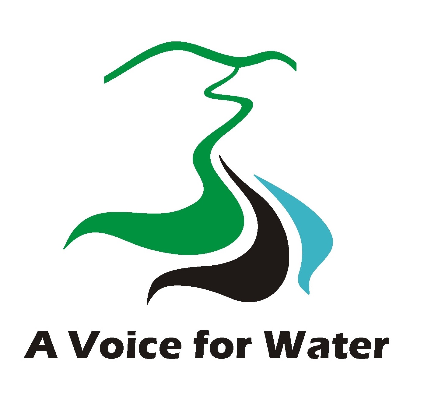 rivers a voice for water